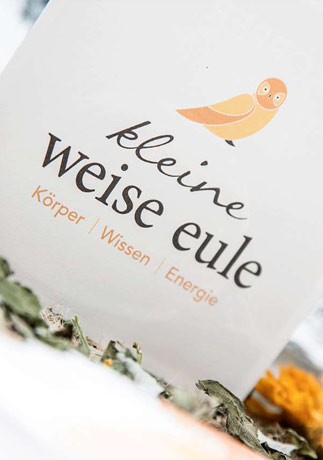 Kleine weise Eule